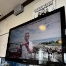 성산 | 제주에서의 잊지 못할 특별한 경험! 체험다이빙 후기 ‘성산스쿠버’