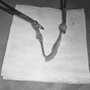 원당동물병원 이미지