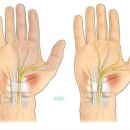 세중한의원 국제도시점 이미지