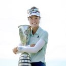 그레이스 이미지