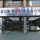 오토덴트칼라 - 마포구 망원로 60 | 오토덴트칼라