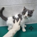 옥천동물병원 이미지