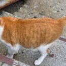 비례경로당 이미지