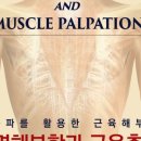 마포홍익한의원 이미지