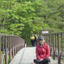 골드바니 Daum카페