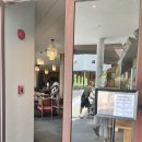 류메드 | 여름휴가 이야기 - (7) 클럽메드 푸켓 Late Breakfast / Late Lunch 후기