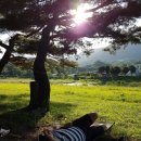 복싱코어 아카데미 이미지