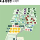 더숲캠핑장 네이버블로그