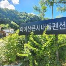 전북 진안 숙소 추천 마령큰시내들캠핑장 펜션