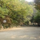 도곡5리 이미지