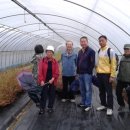 칠보단장 이미지