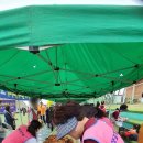 압해도 용마을 이미지