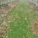 장금농장 이미지