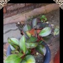 고감도어린이집 이미지