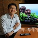 부싯돌(BUSIDOL) 머니투데이
