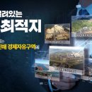도트트리디자인