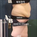 플러피비 네이버블로그