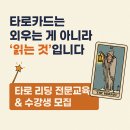 타로로 읽는 하루 이미지