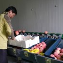 최고집농장 이미지