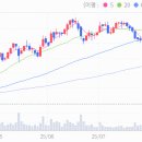 농업회사법인(주)팜스월드 | 지주사관련주 이지홀딩스 주가 전망 및 차트 분석