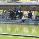 생극낚시터 이미지