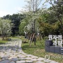 연서공원 연합뉴스