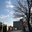 2696 | 남양주 글램핑 카라반 / 카라반2696 /내돈내산 후기