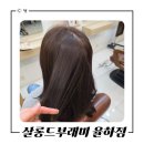 대구 율하동헤어샵 &#39;살롱드부래미 율하점&#39; 긴머리 브라운 염색 잘나온 후기