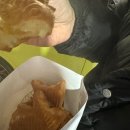 백사횟집 | 신축 아파트 입주 !! 집들이 해요