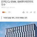 SM엔터테인먼트 카카오 검색결과