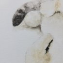 시선미술학원 이미지