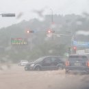 아산시신정호관리사무소 이미지