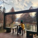 광릉수목원로 이미지