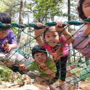 무지개숲어린이집 - 고양시 일산동구 | 무지개숲어린이집