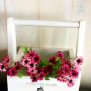 자투리닷컴
