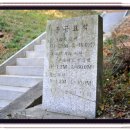 이극견 가계 석물군 이미지