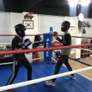 라이노 복싱 GYM 이미지