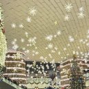 삼성도서관 | 서울 가볼만한곳 삼성 코엑스 별마당도서관 포토존 후기