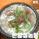 한양탕 | 마포역 맛집 내돈내산 한양설농탕