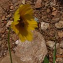 군포-산본-2015 이미지