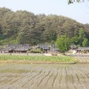 온천로(도산면) 이미지