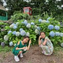 통나무파크 이미지