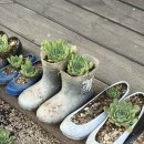 청호정펜션 이미지