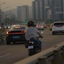 신경길L 이미지