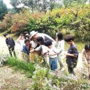 여흥초등학교 이미지