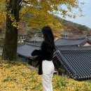 일상(전주,서촌요시고,망원동,성수우연히웨스앤더슨,크리스마스,연말,새해)