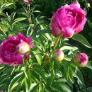 동곡농장 이미지