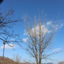 외포리버스터미널 이미지