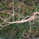 선의농원 이미지