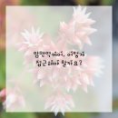 안양한방병원 이미지